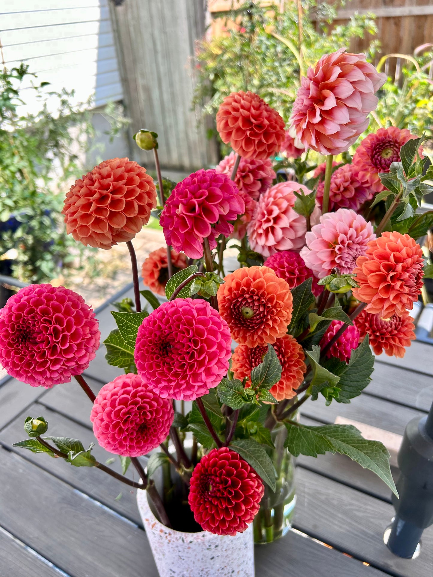 A Year of Local Blooms (6 month subscription, May-October)