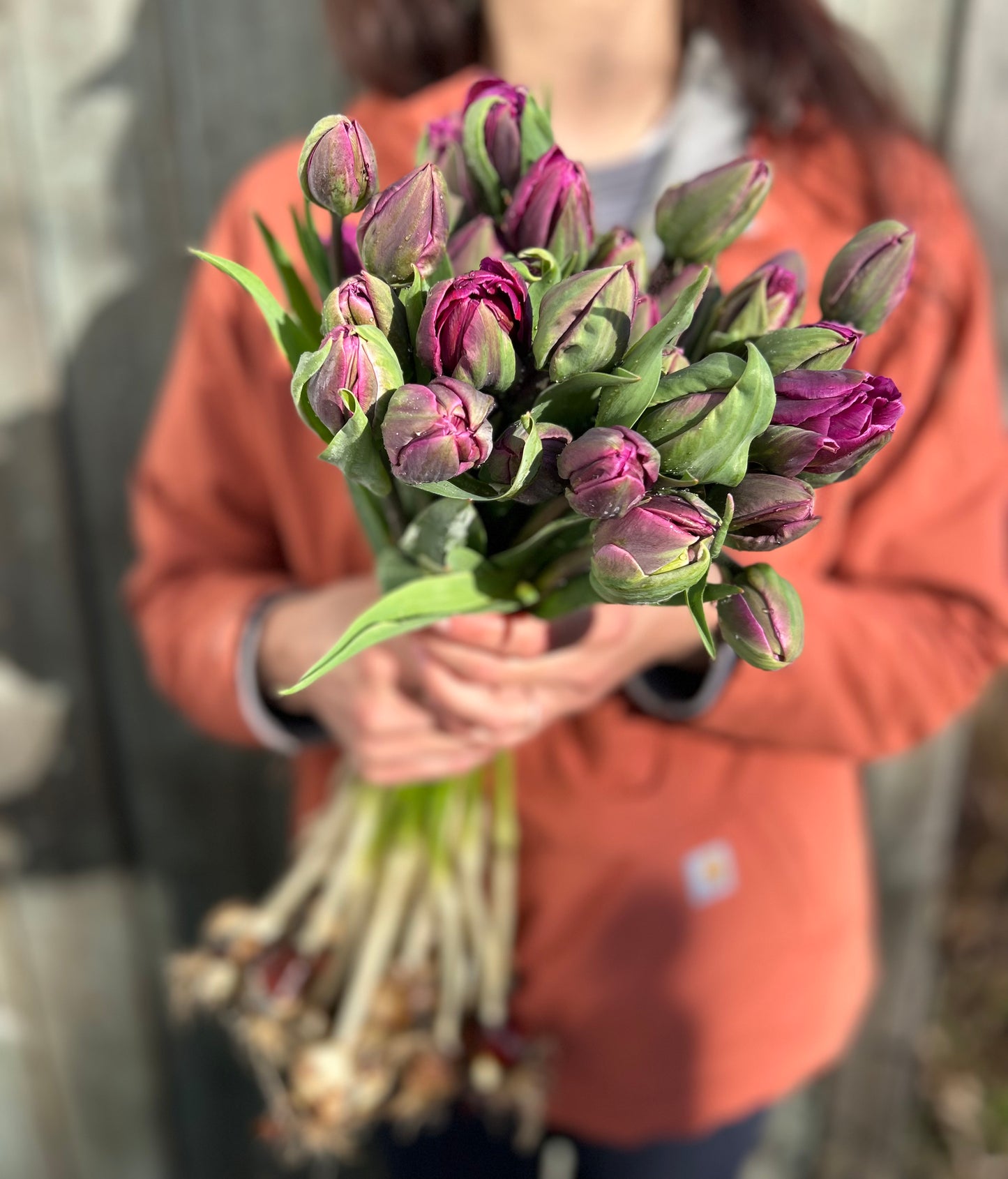 A Year of Local Blooms (6 month subscription, May-October)